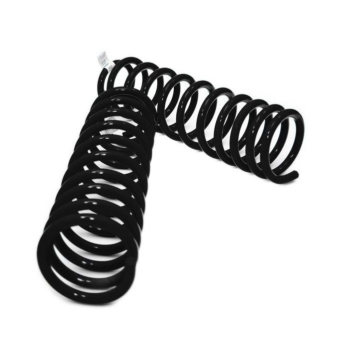 Dobinsons C59-817V Variable Rate Rear Coils